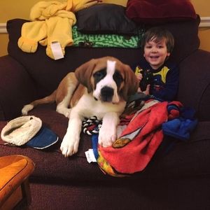 Meet your Posher, Mike